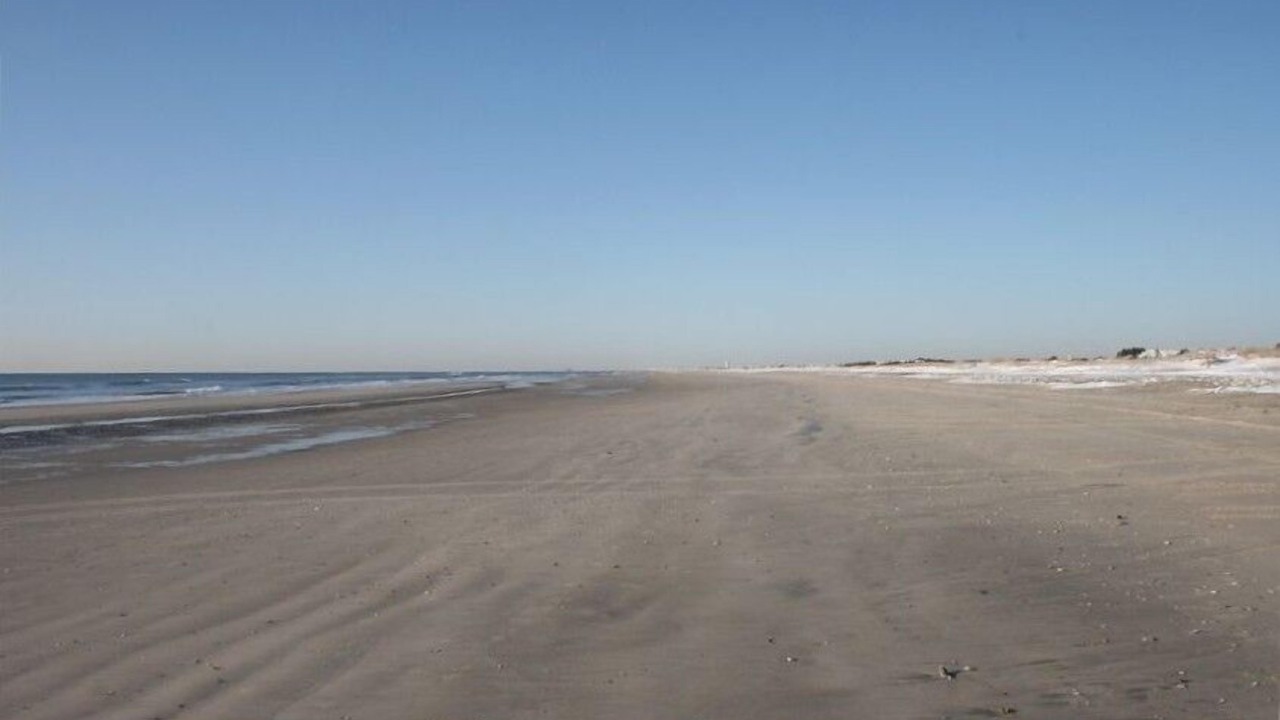 Photo of Others in Avalon