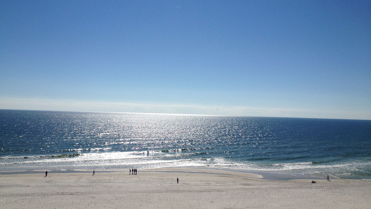 Photo of Others in Orange Beach
