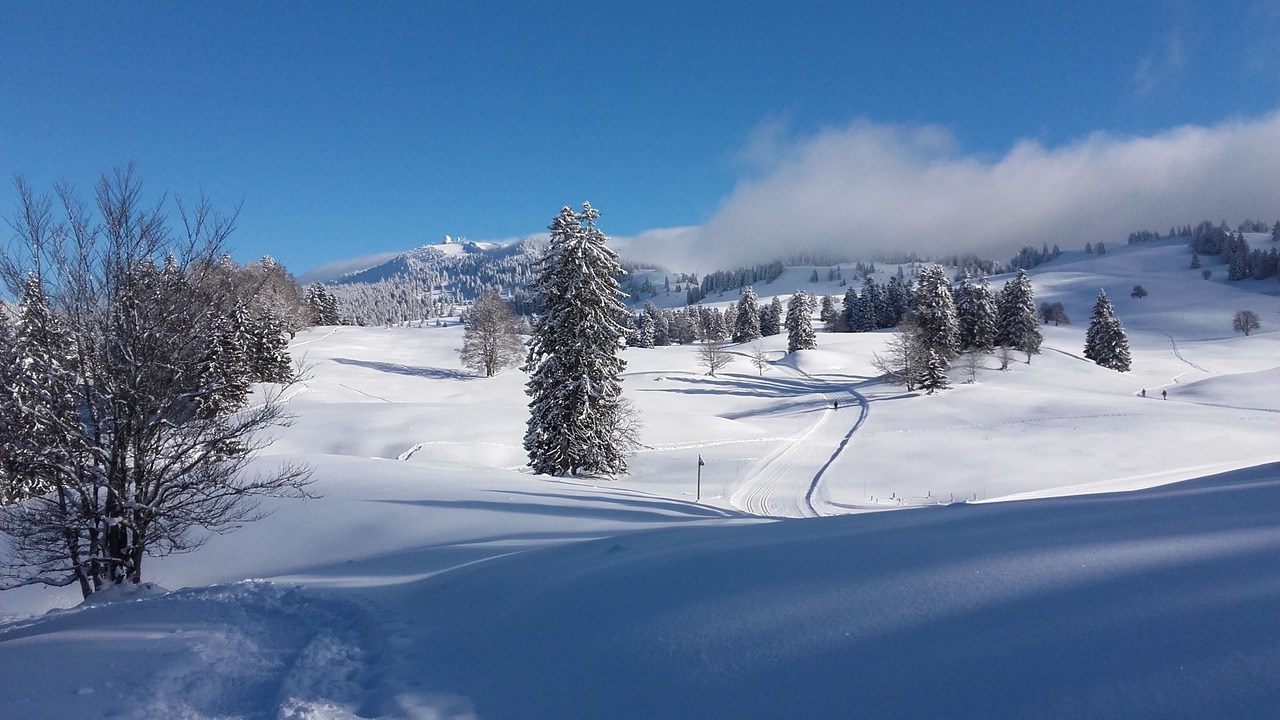 Photo of Others in Lamoura