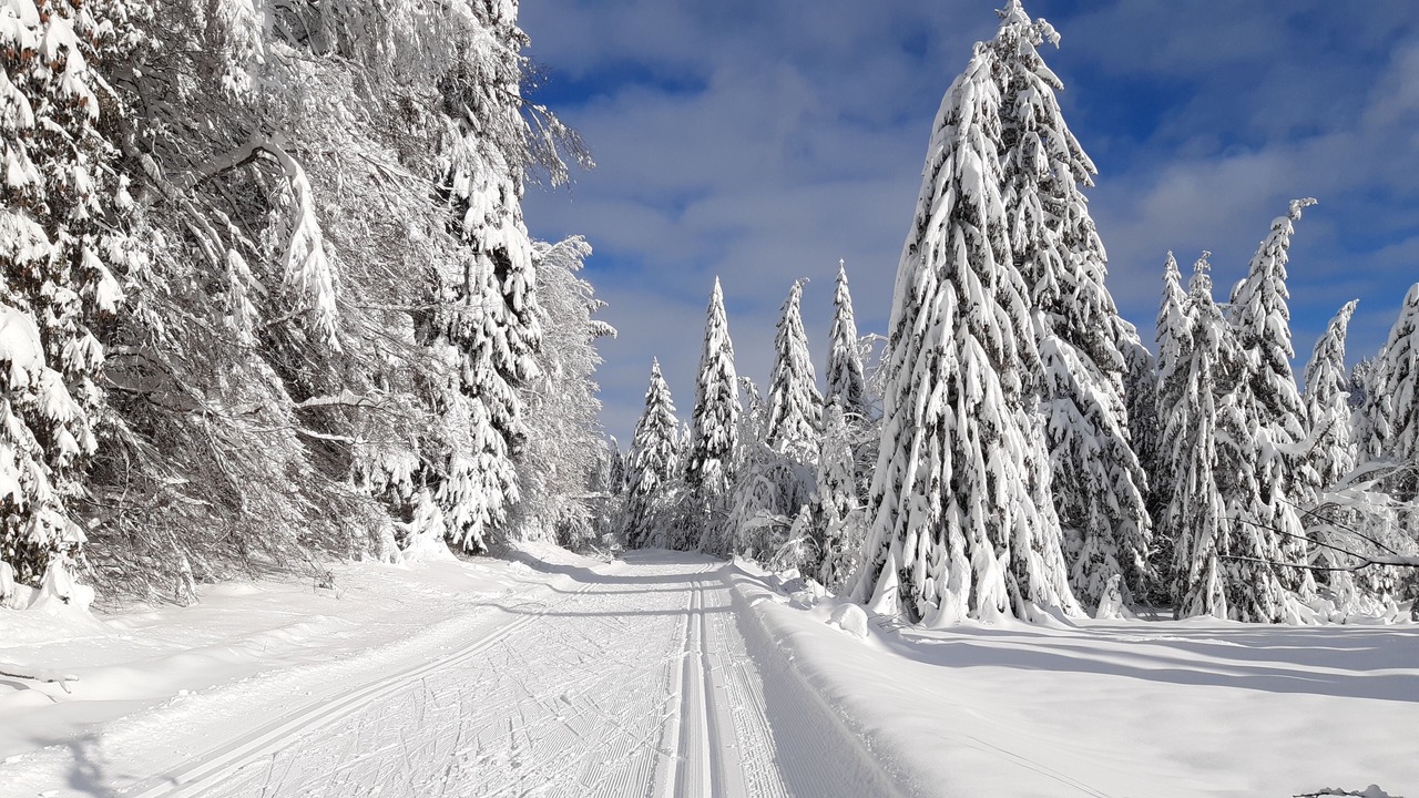 Photo of Others in Lamoura