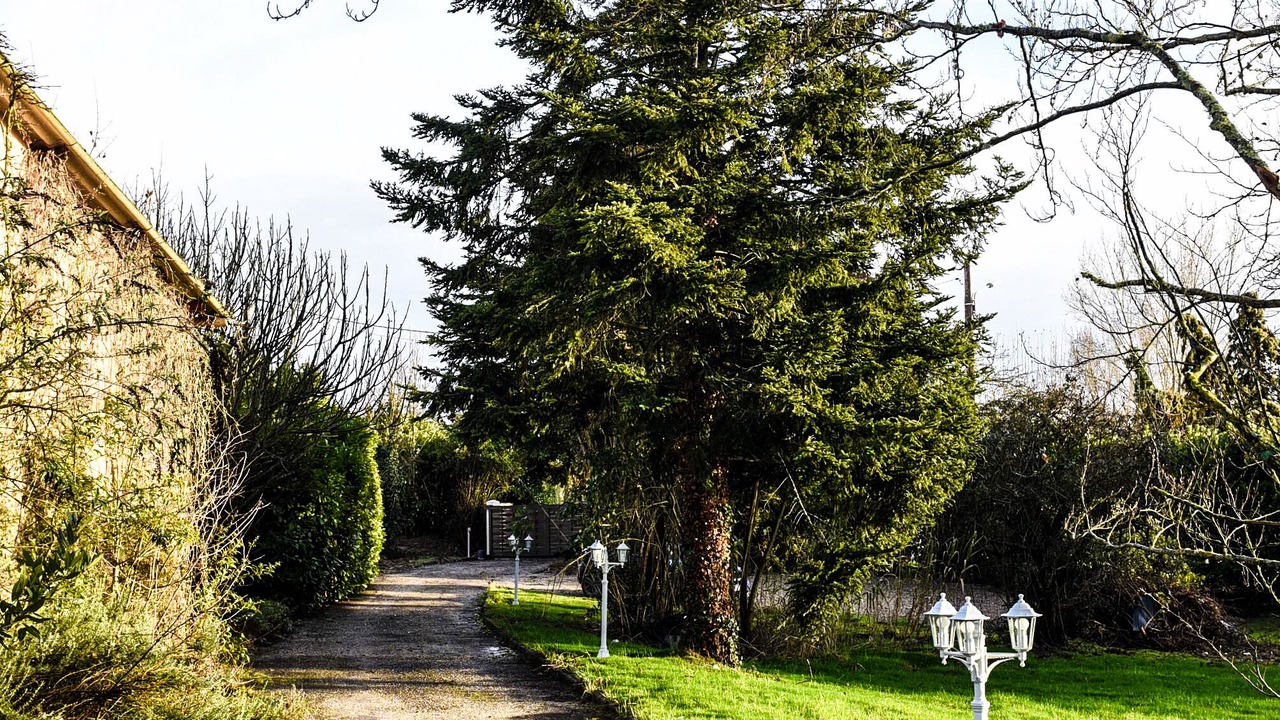 Photo of Outdoor in Grisolles