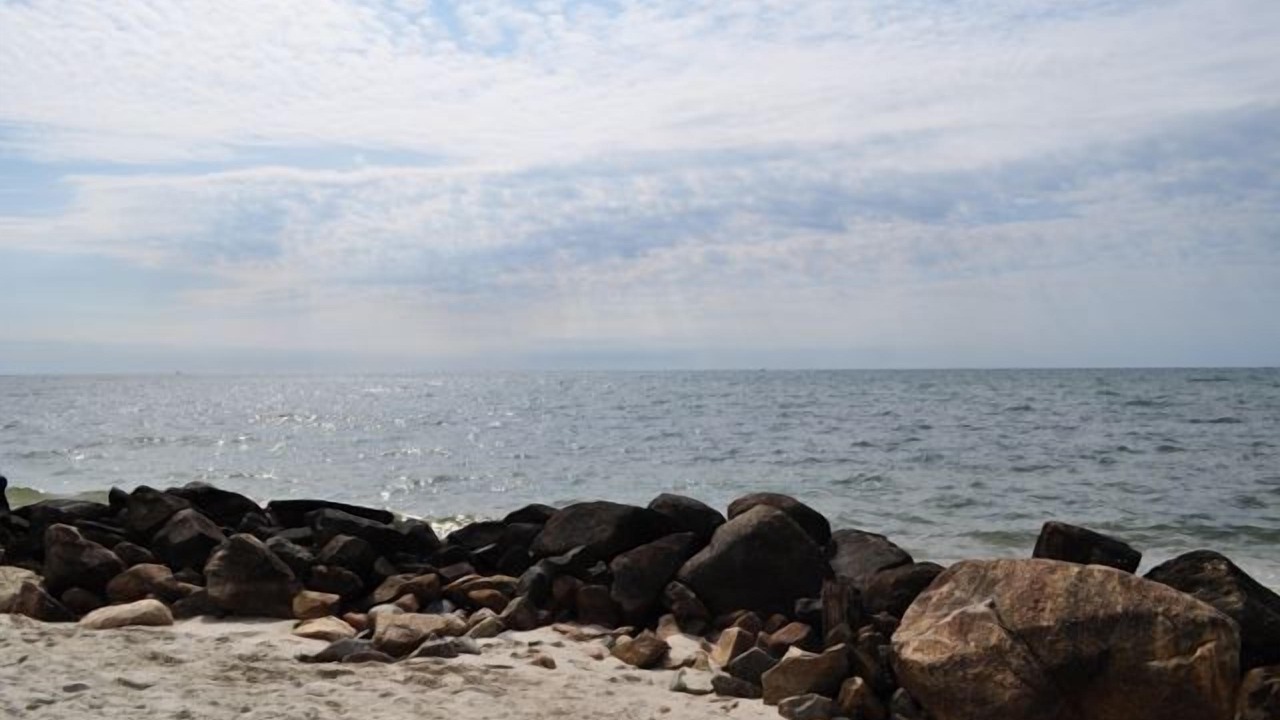 Photo of Others in West Dennis