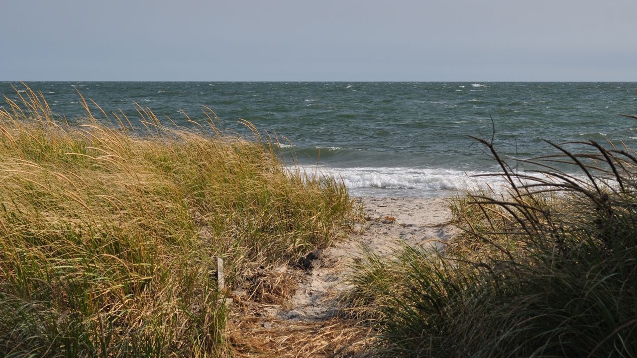 Photo of Others in West Dennis