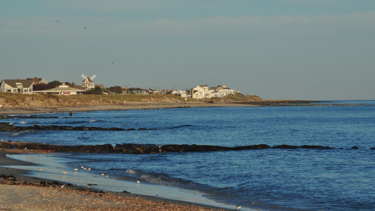 Photo of Others in West Dennis