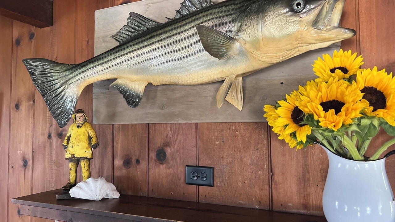 Photo of Others in West Dennis