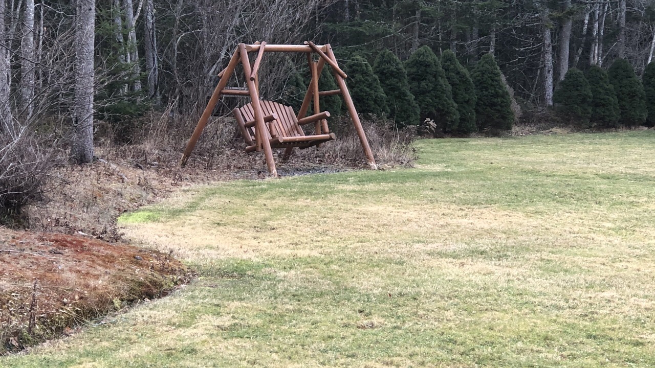 Photo of Others in Wallace