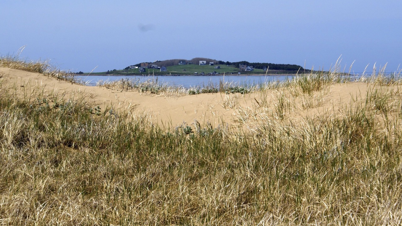 Photo of Others in Port Hood