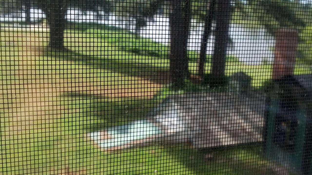 Photo of Bedroom in Golts