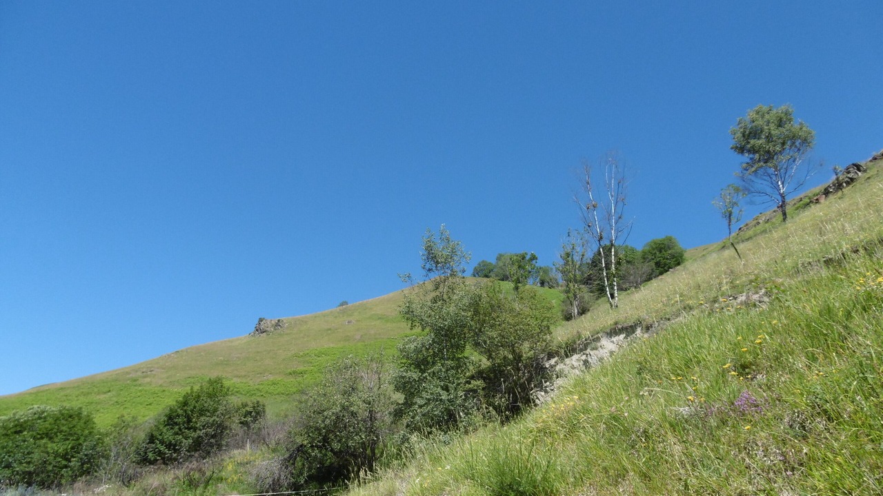 Photo of Others in Saint-Lary-Soulan