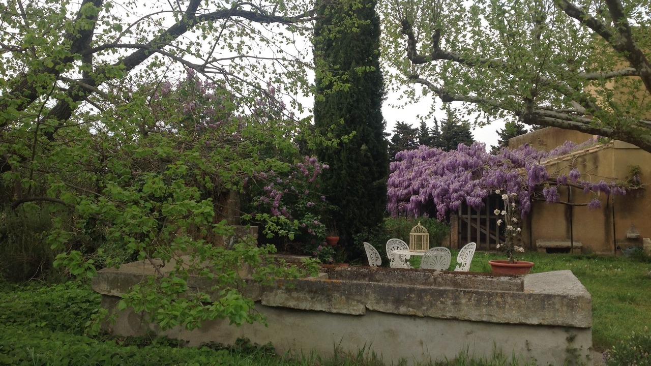 Photo of Outdoor in Meynes
