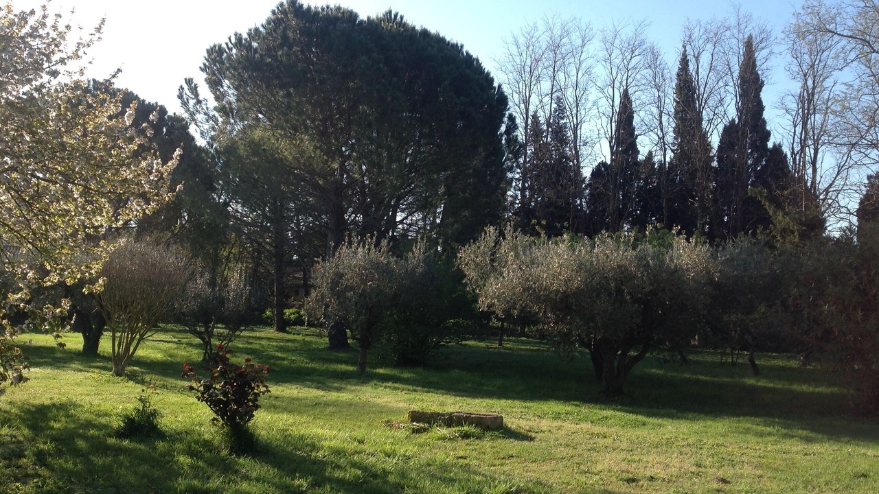 Photo of Outdoor in Meynes