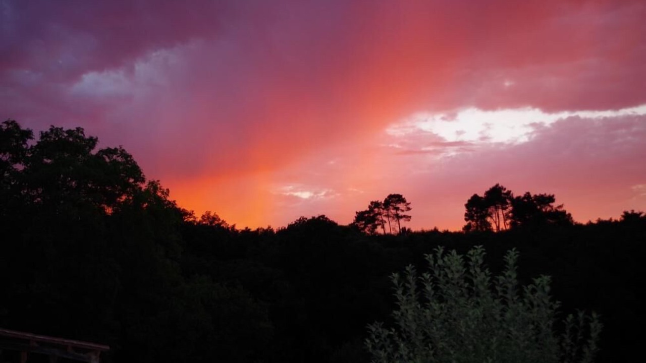 Photo of Outdoor in Grives