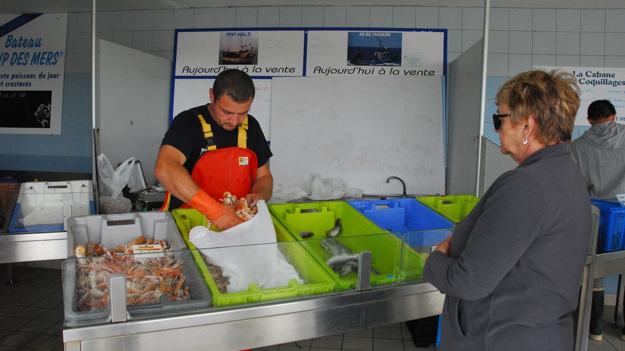 Photo of Others in Trevignon