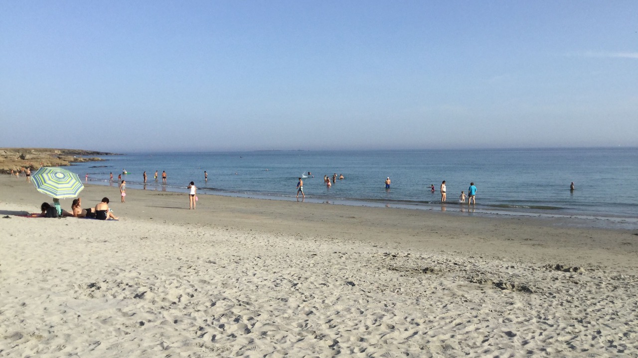 Photo of Others in Trevignon