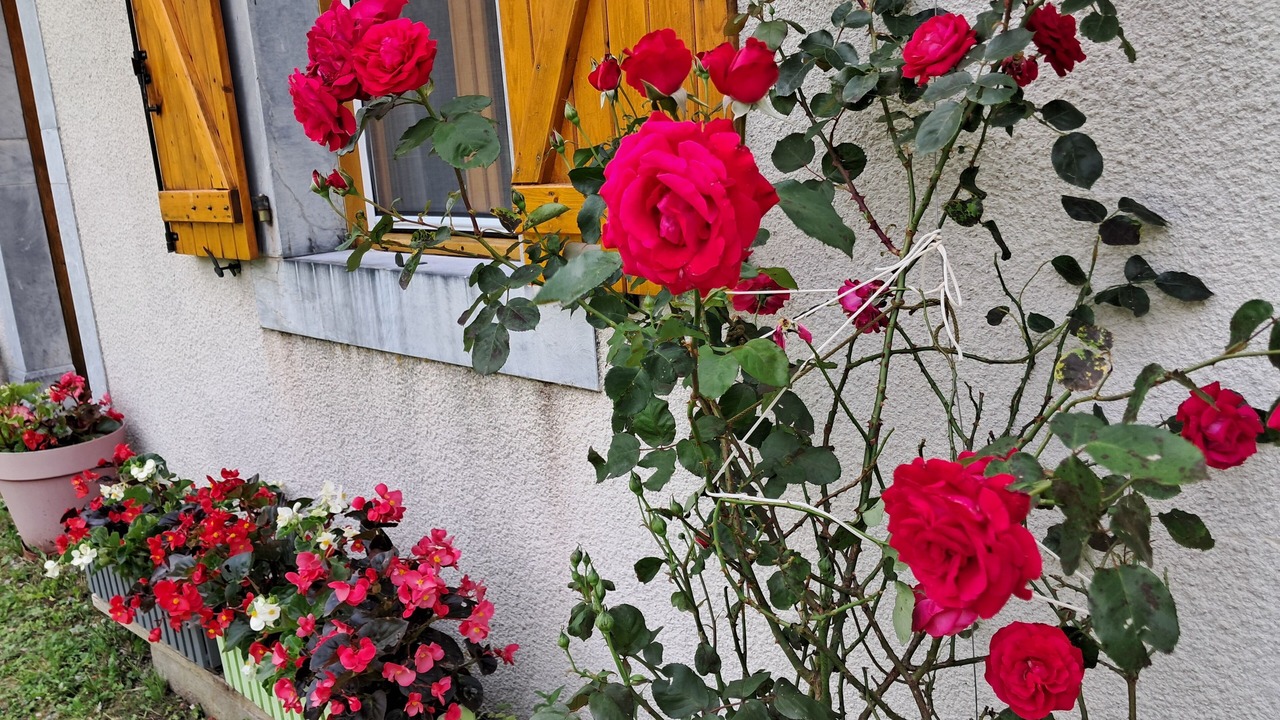 Photo of Outdoor in Pailhac