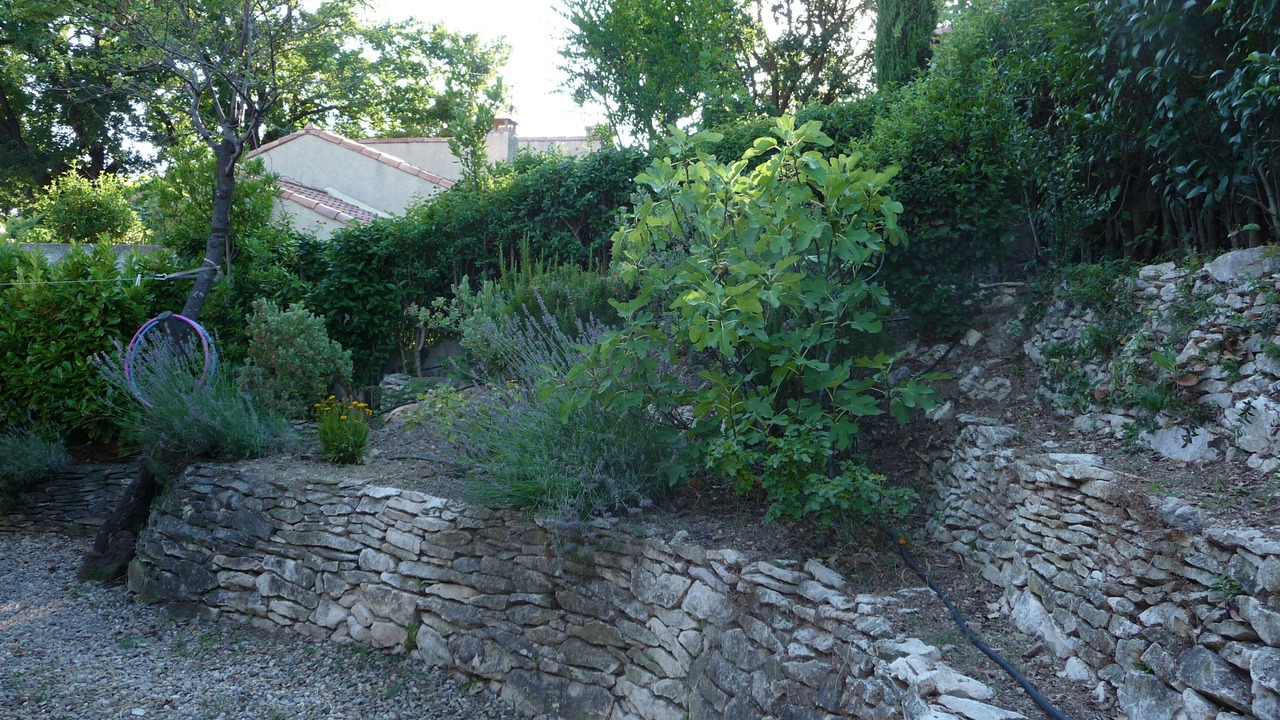 Photo of Outdoor in Avignon City Centre