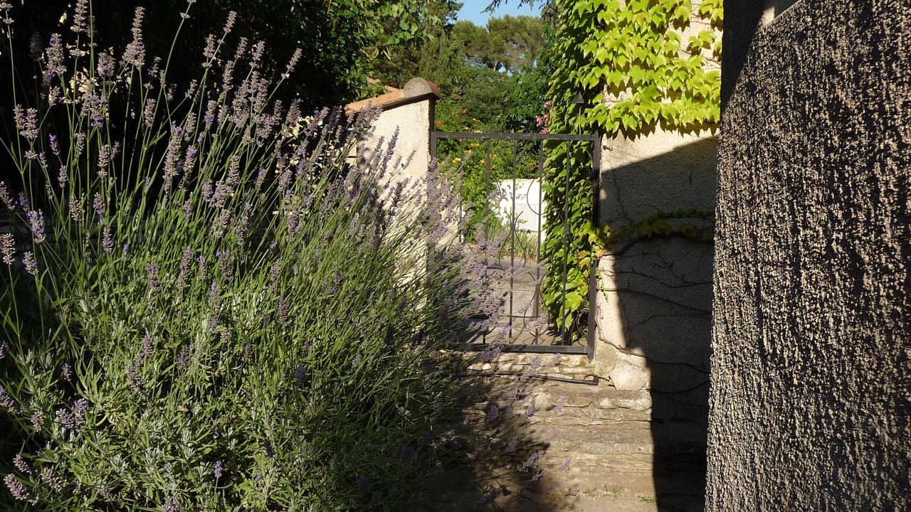 Photo of Outdoor in Avignon City Centre