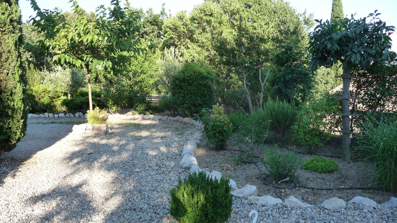 Photo of Outdoor in Avignon City Centre