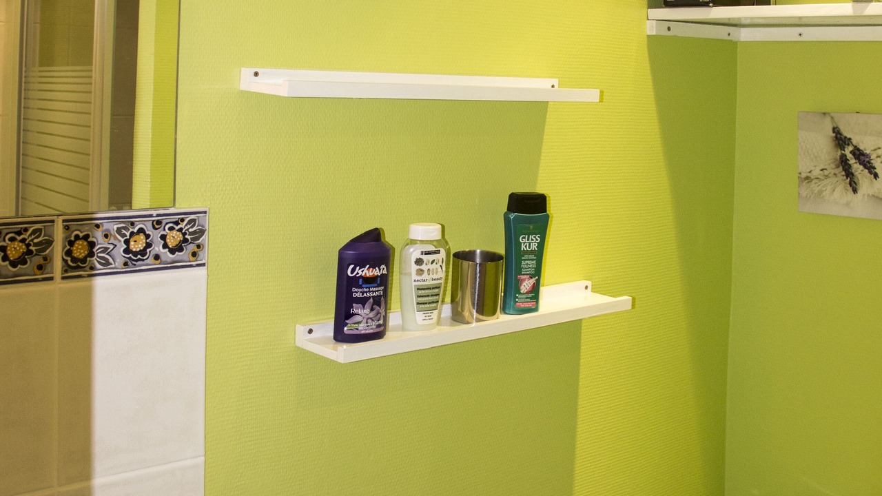 Photo of Bathroom in Chalon-sur-Saone