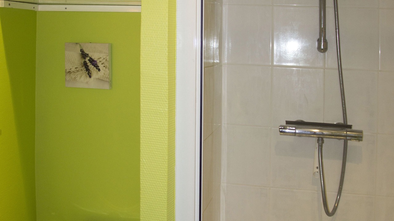 Photo of Bathroom in Chalon-sur-Saone