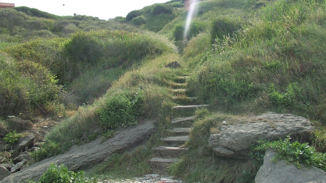 Photo of Outdoor in Equihen-Plage