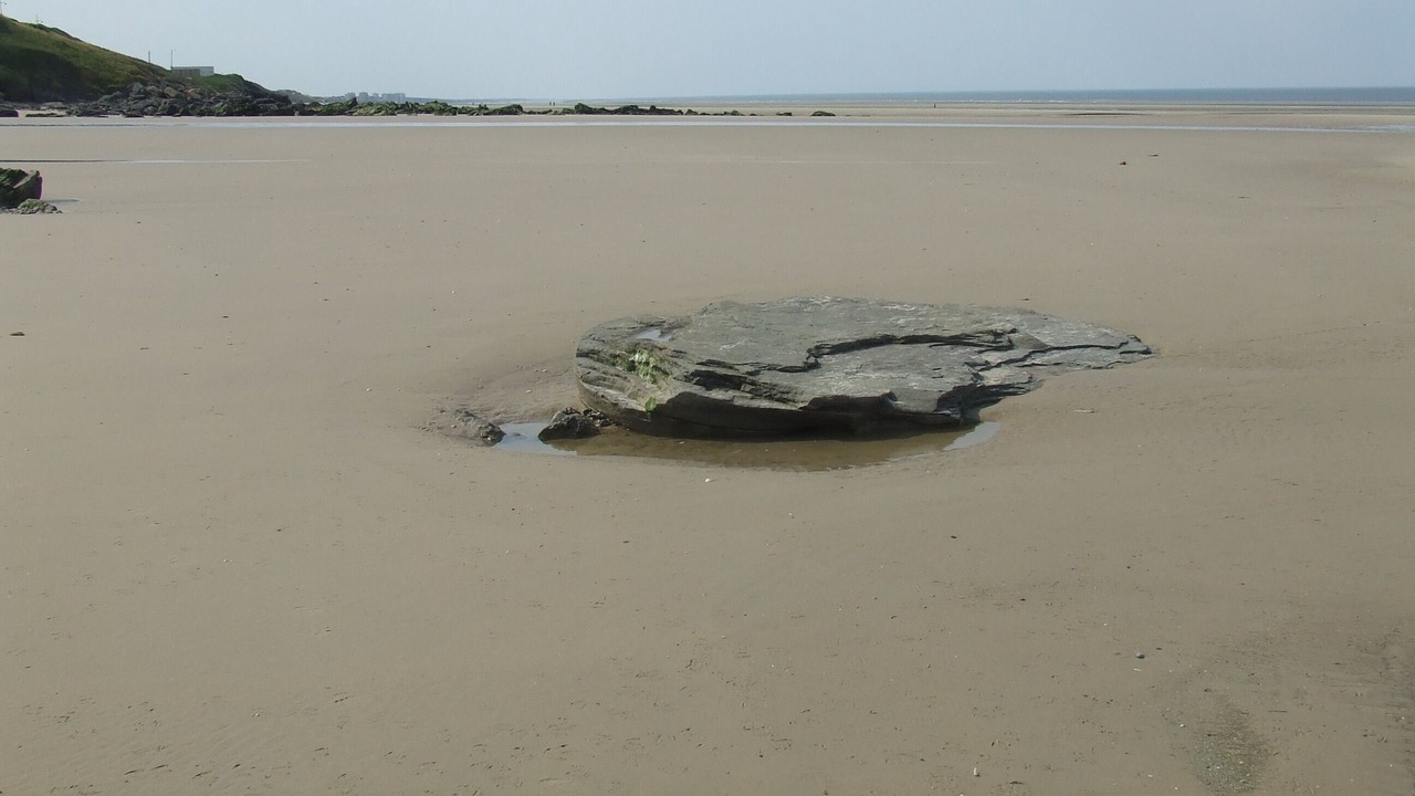 Photo of Others in Equihen-Plage