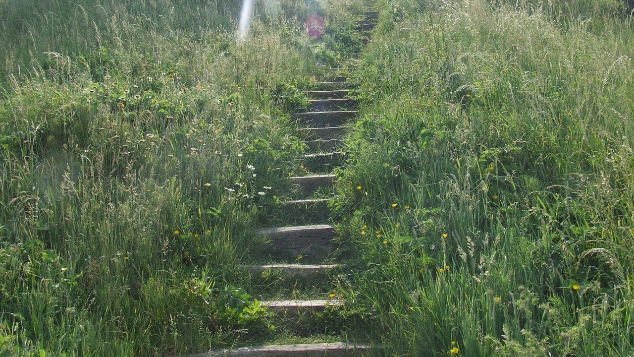 Photo of Outdoor in Equihen-Plage