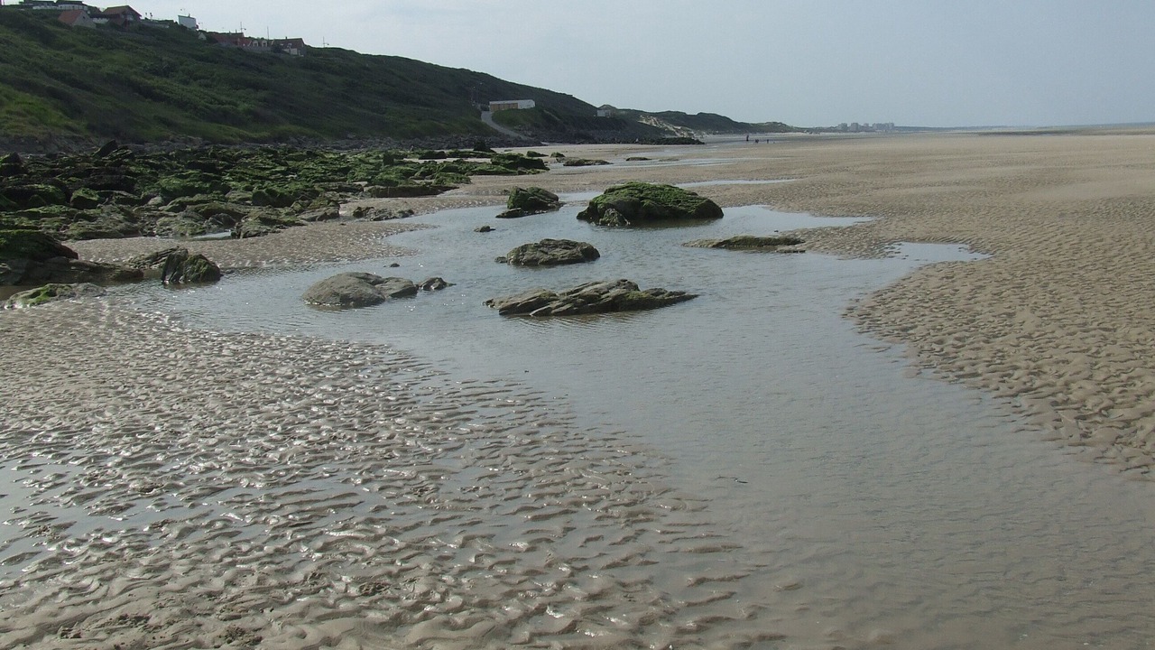 Photo of Others in Equihen-Plage