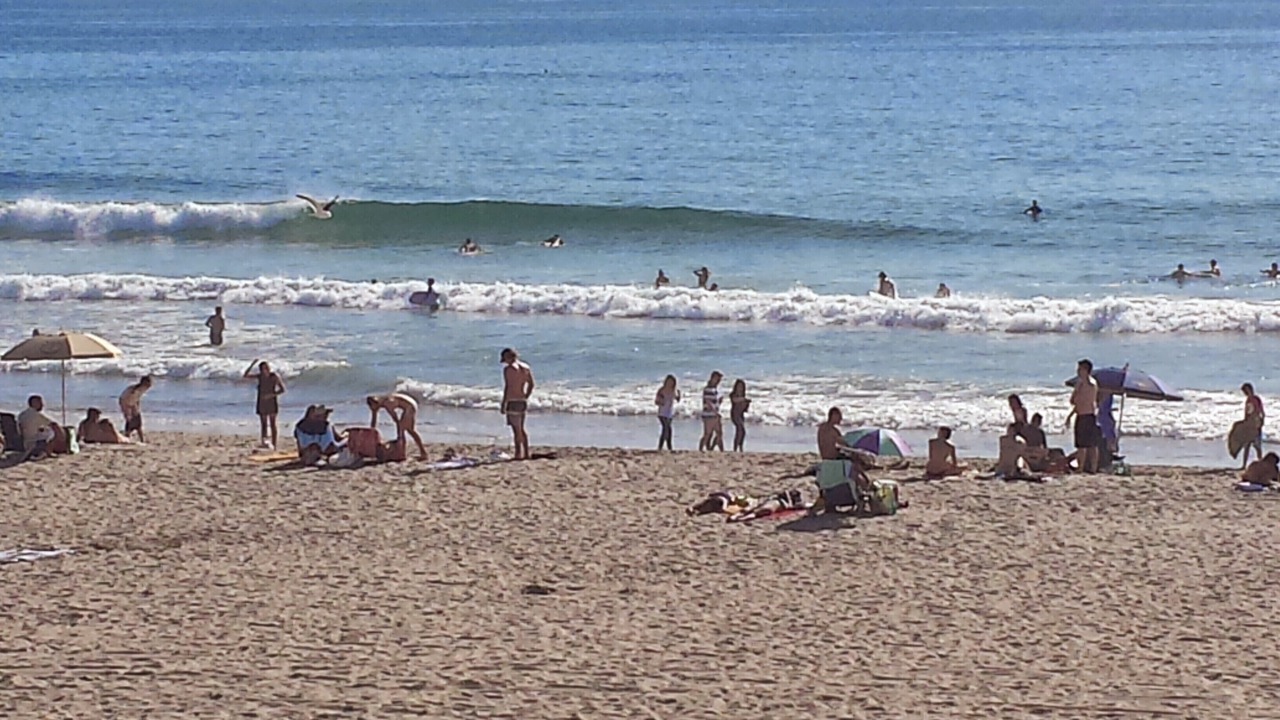 Photo of Others in West Newport