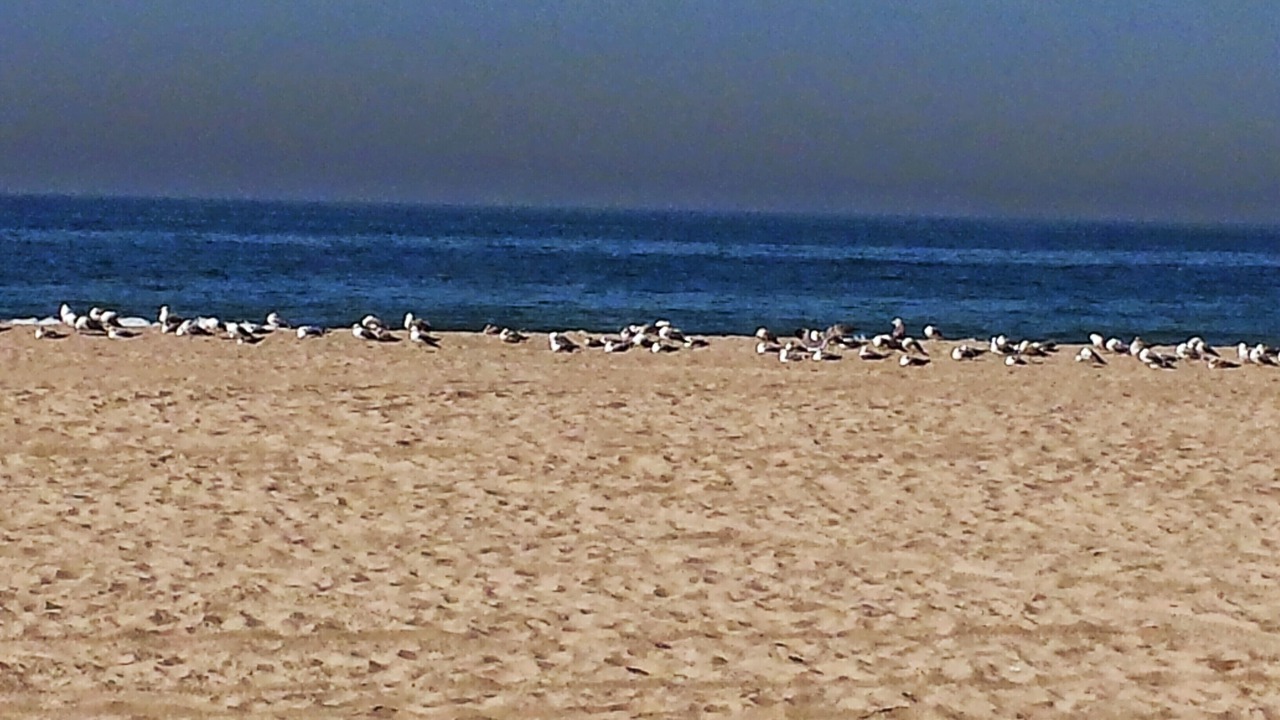 Photo of Others in West Newport