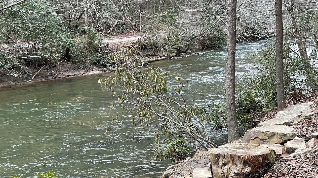 Photo of Others in Ellijay