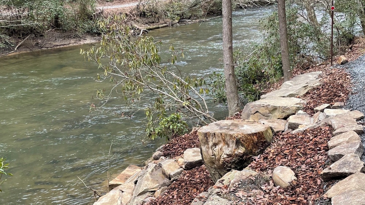 Photo of Others in Ellijay