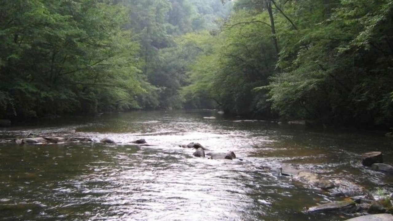 Photo of Others in Ellijay