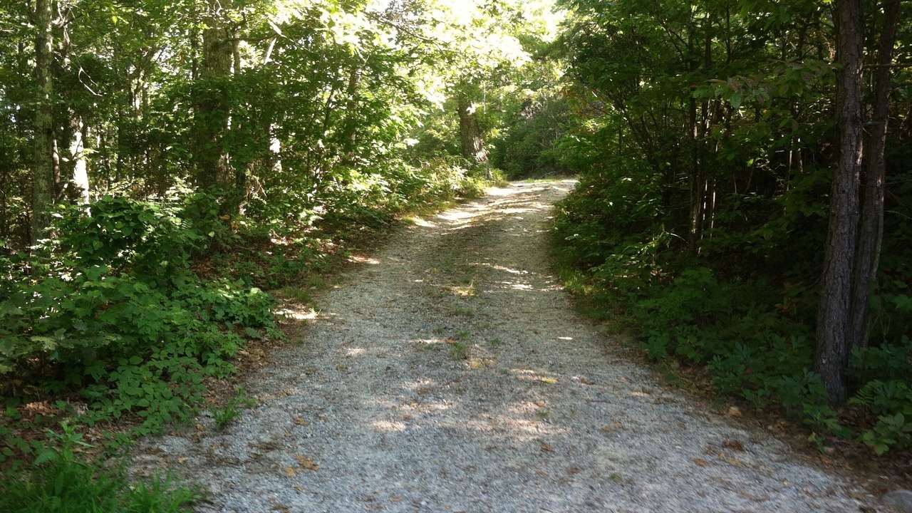 Photo of Others in Skyland