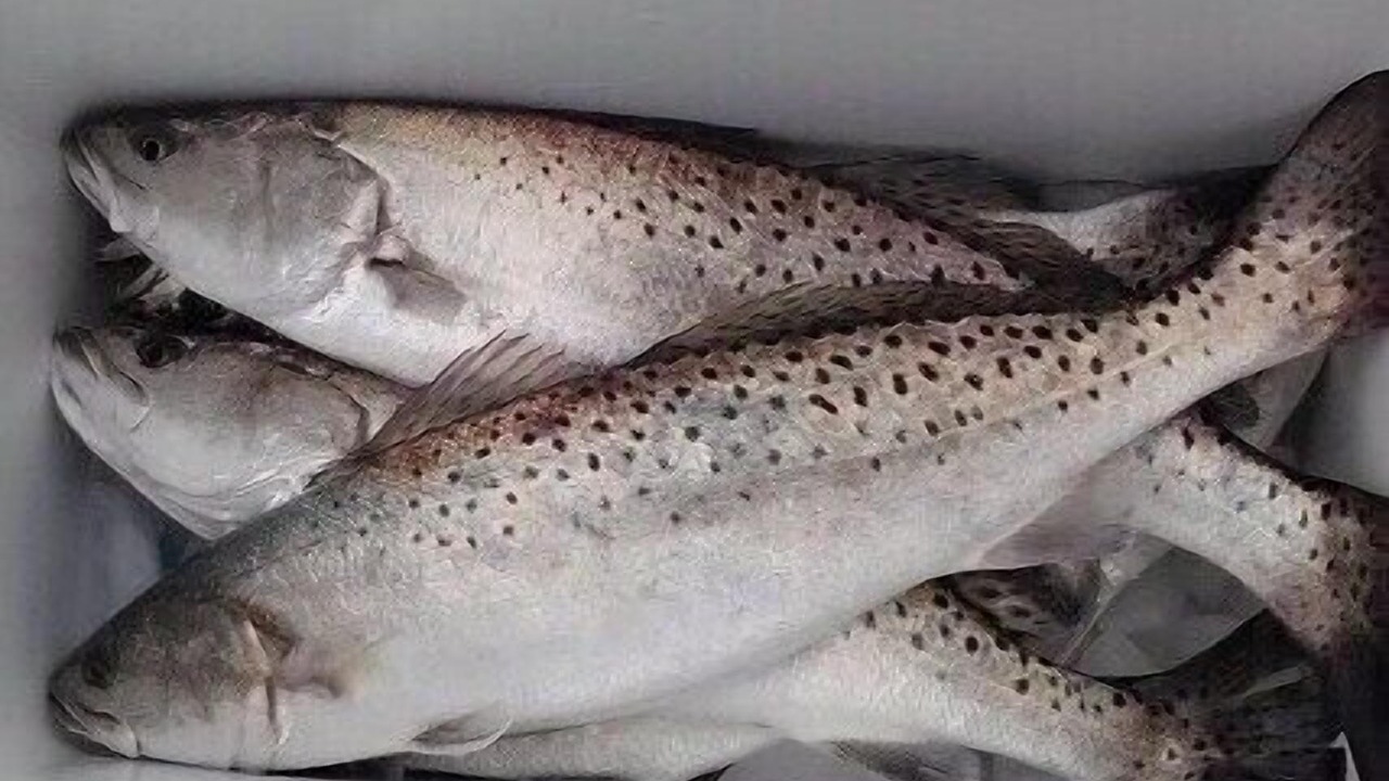 Photo of Others in Silver Beach