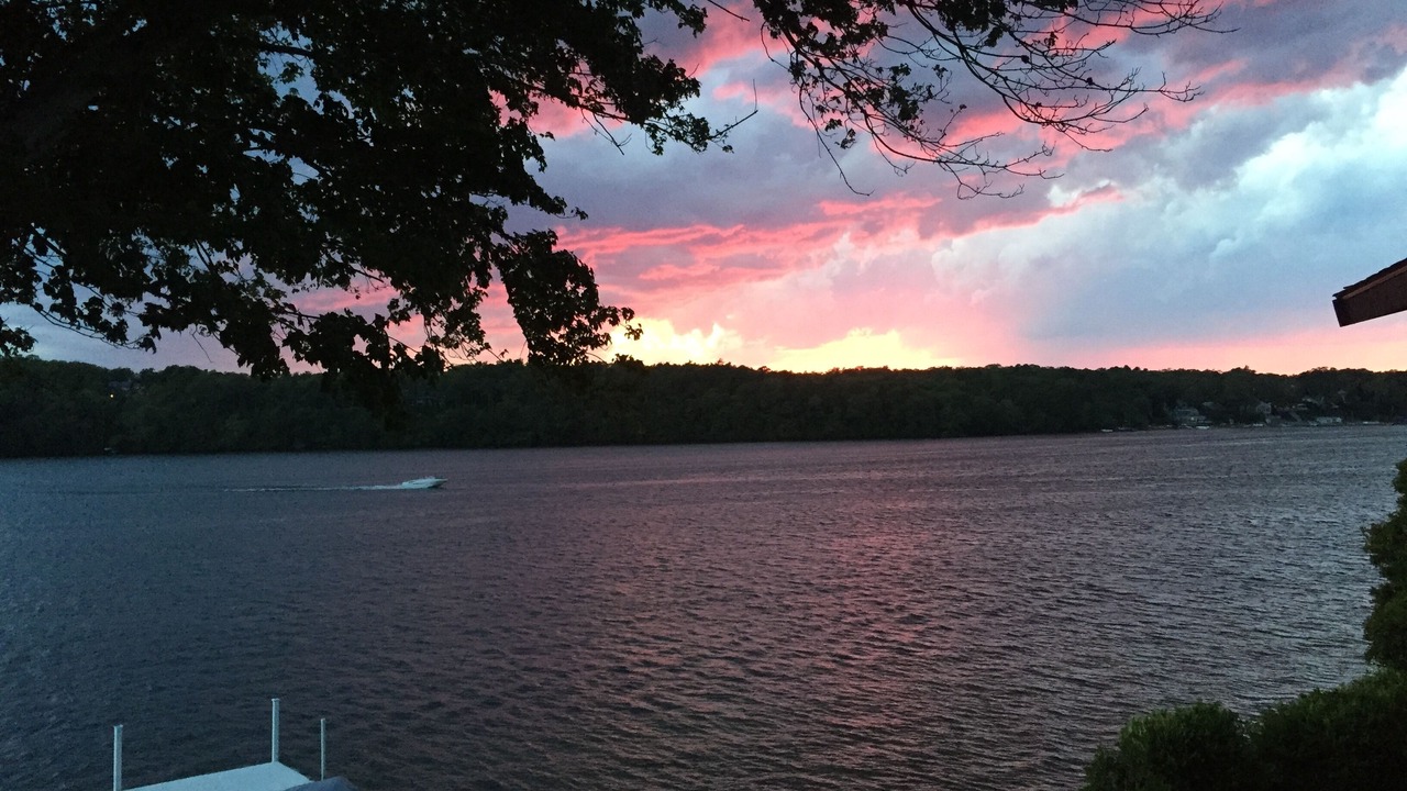 Photo of Others in West Wareham