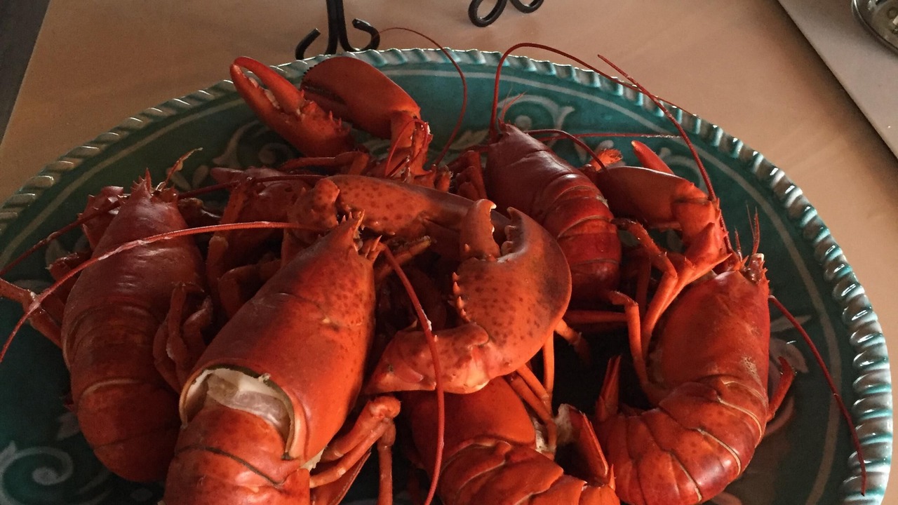 Photo of Others in West Wareham