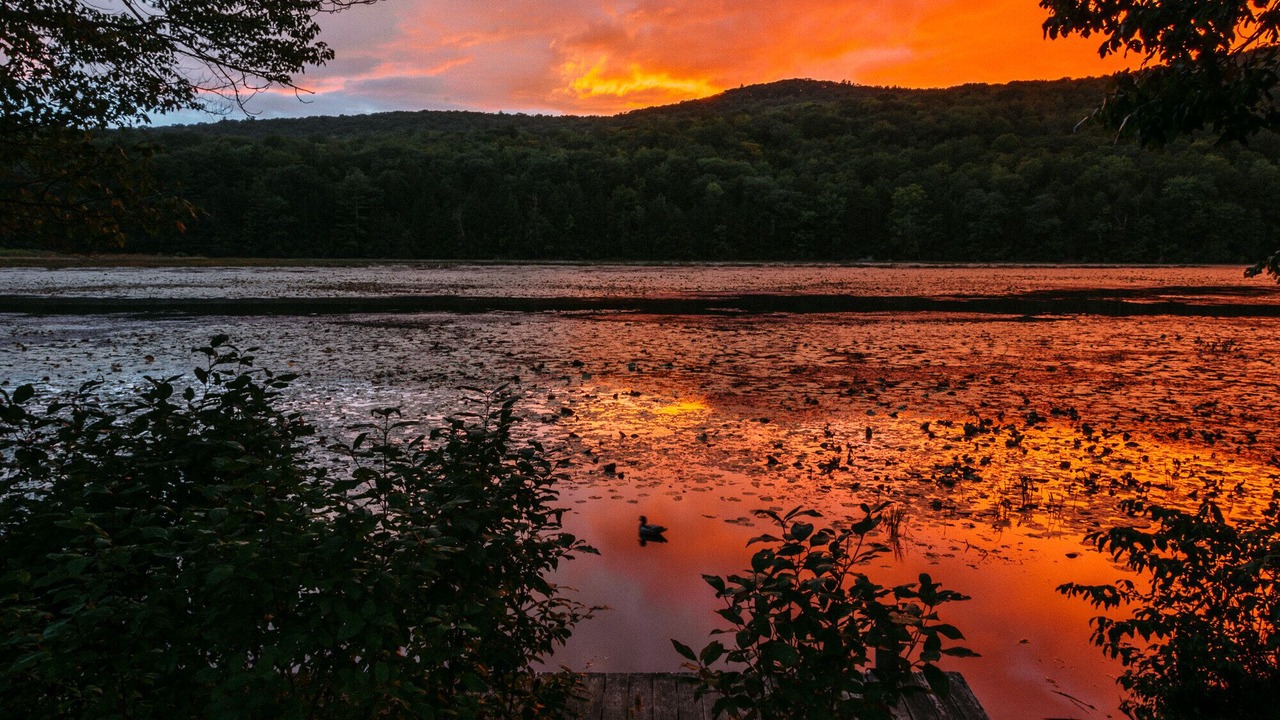 Photo of Outdoor in Hubbardton