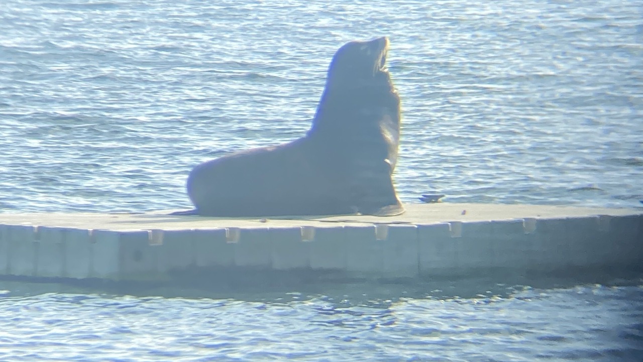 Photo of Others in Olympia