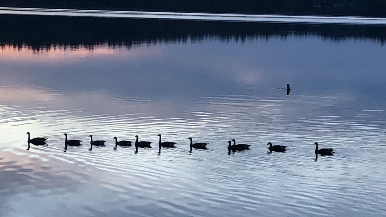 Photo of Outdoor in Olympia