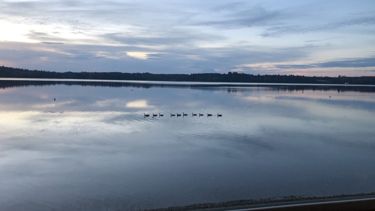 Photo of Others in Olympia