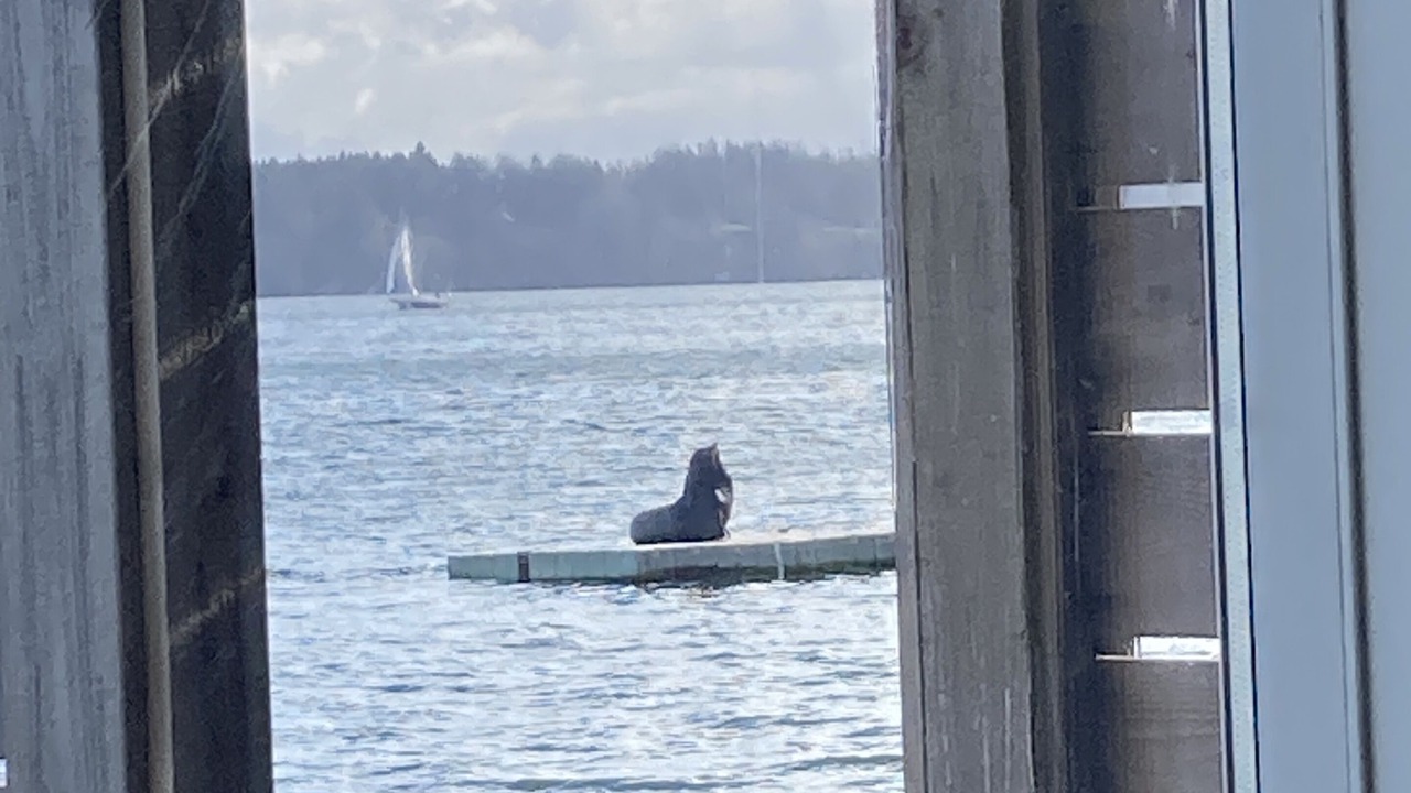 Photo of Others in Olympia