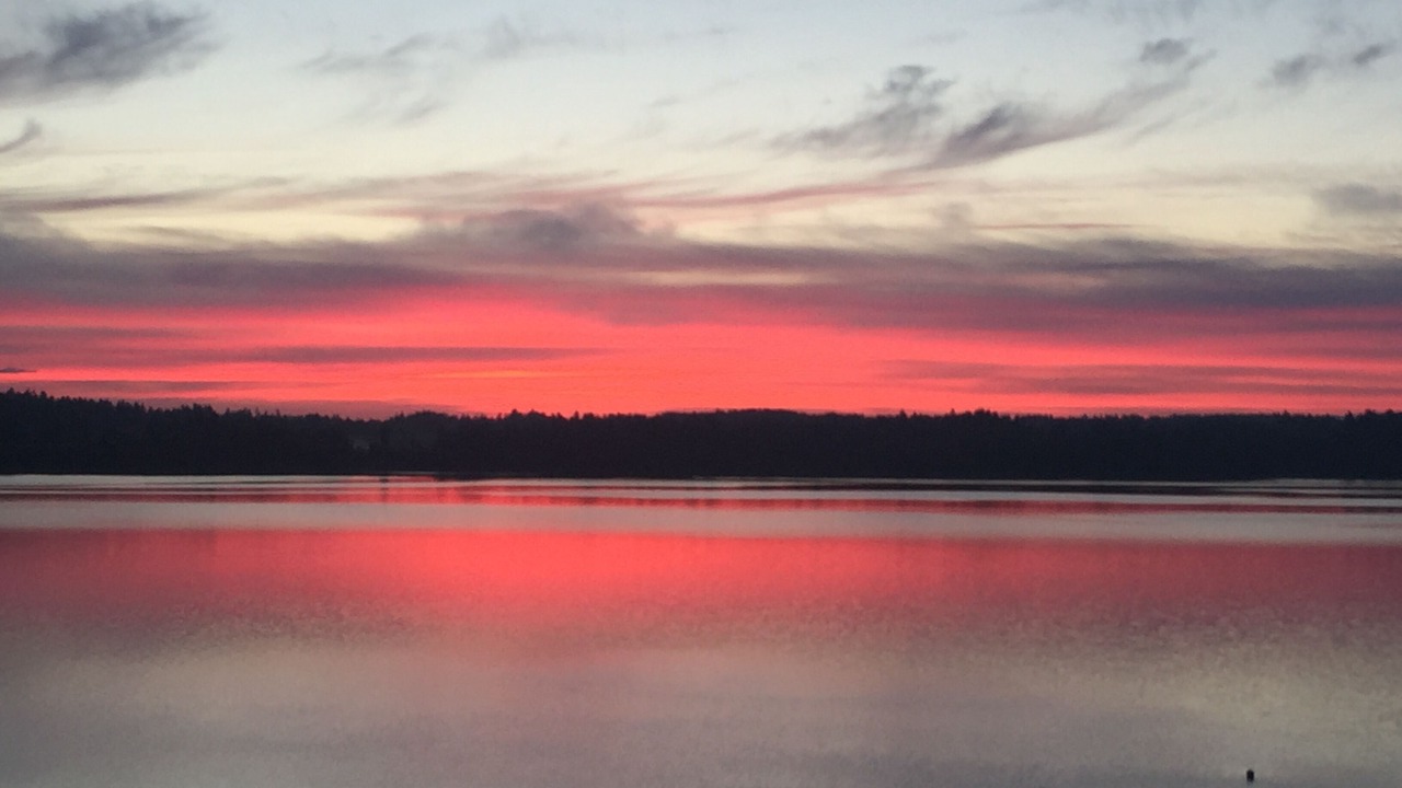 Photo of Others in Olympia