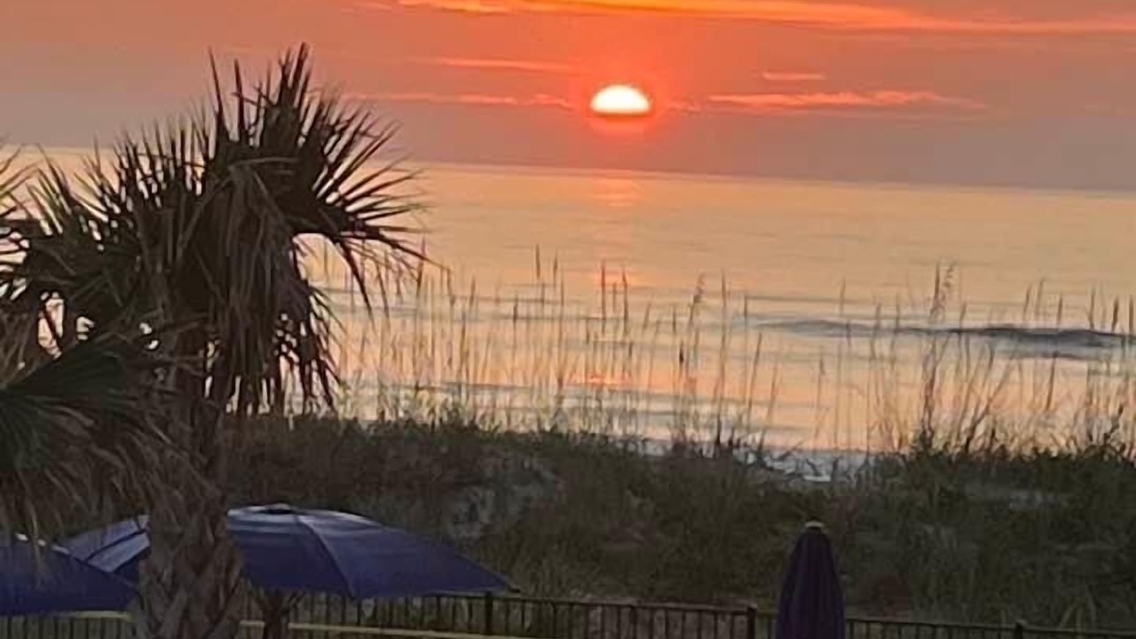 Photo of Outdoor in Jacksonville Beach