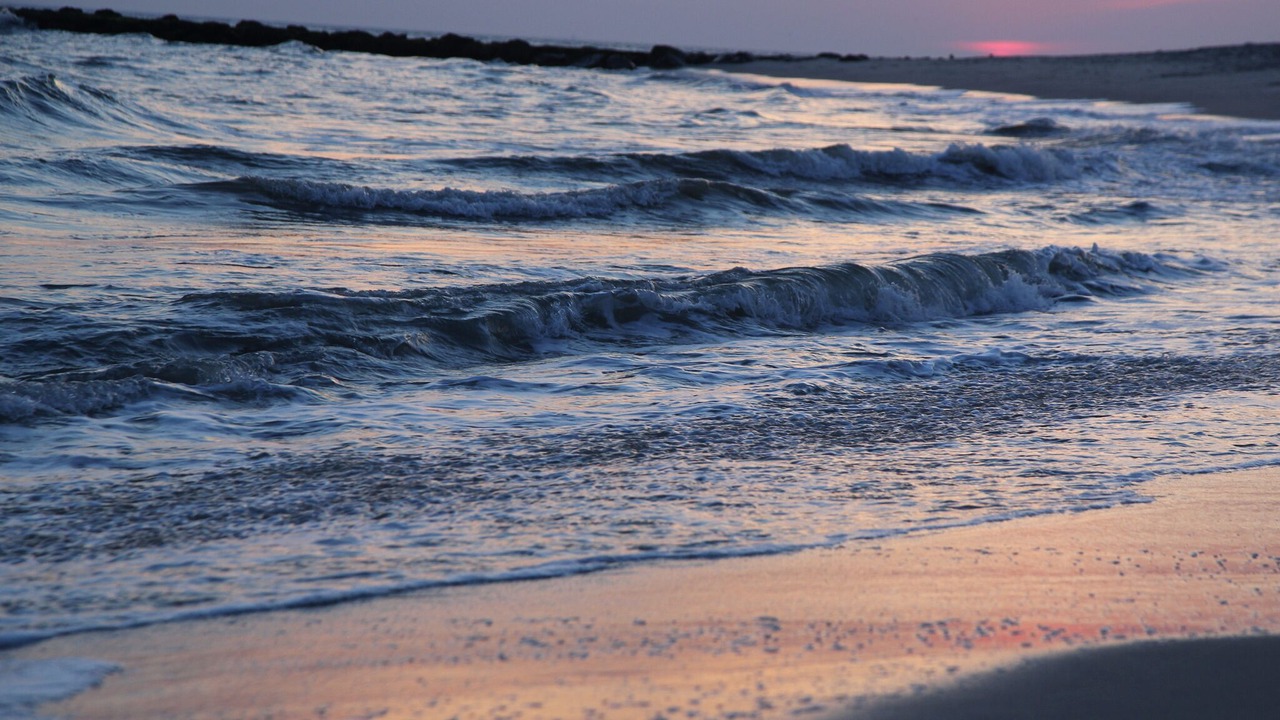 Photo of Others in Cape May Point
