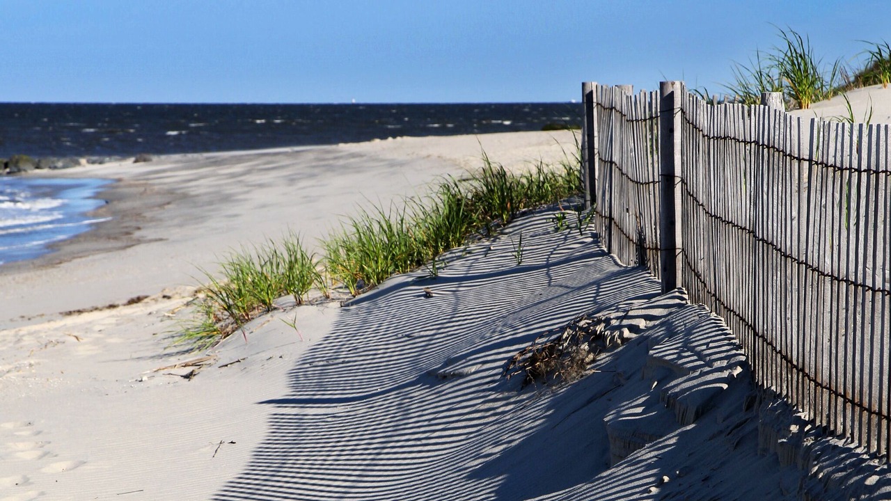 Photo of Others in Cape May Point