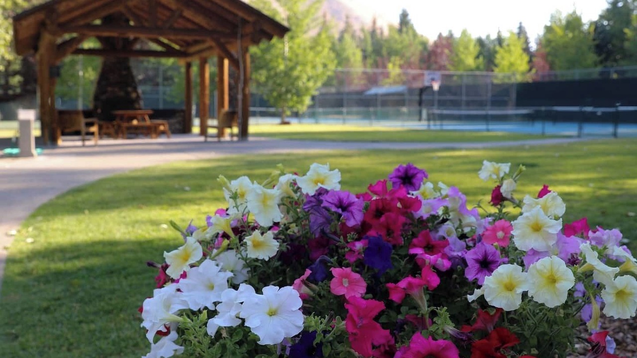 Photo of Others in Warm Springs