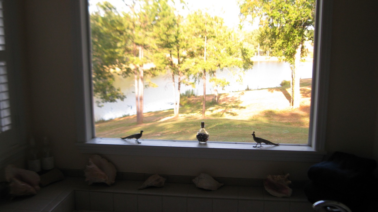 Photo of Others in Calhoun County