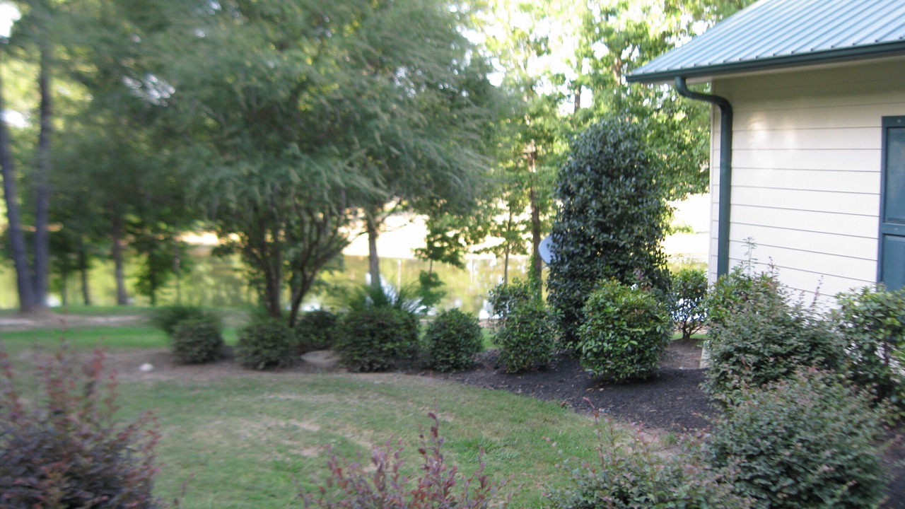 Photo of Others in Calhoun County