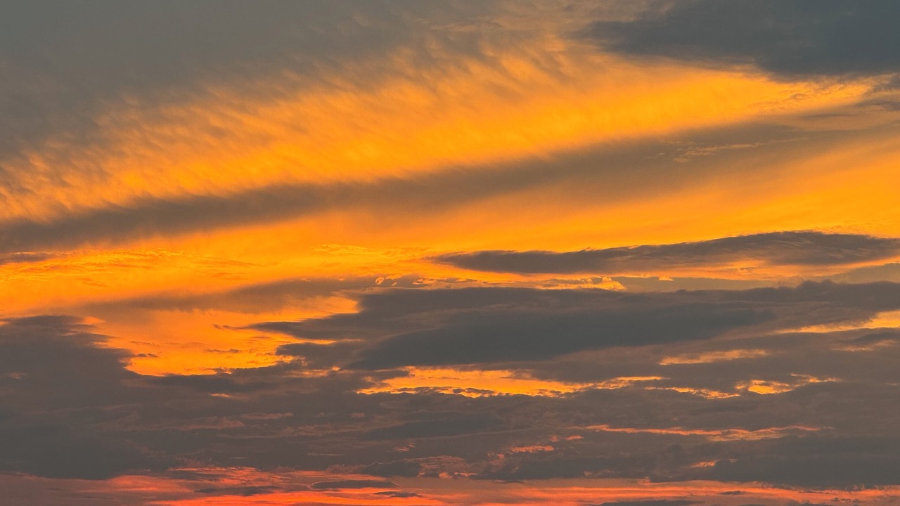 Photo of Others in Yarmouth